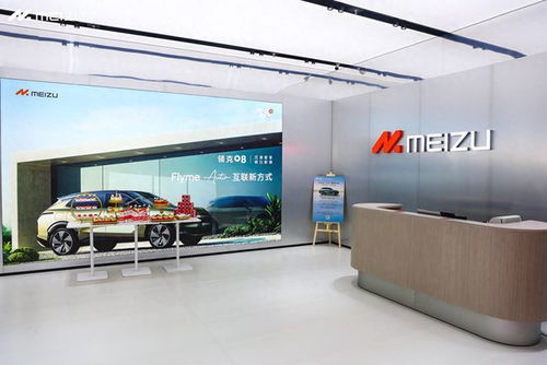 预售即破万！魅族新店揭秘那些人气爆棚的车型