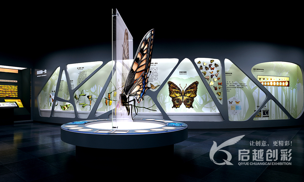 蝶舞彩云南川，启越创彩绘展馆——记云南四川启越创彩展览展示服务的图文设计之旅